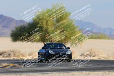 media/Nov-23-2024-Nasa (Sat) [[59fad93144]]/HPDE 1-2/Session 3 Turn 4 Tree of Life/